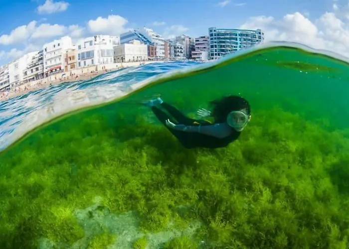 Sea Of Clouds لاس بالماس دي غران كاناريا